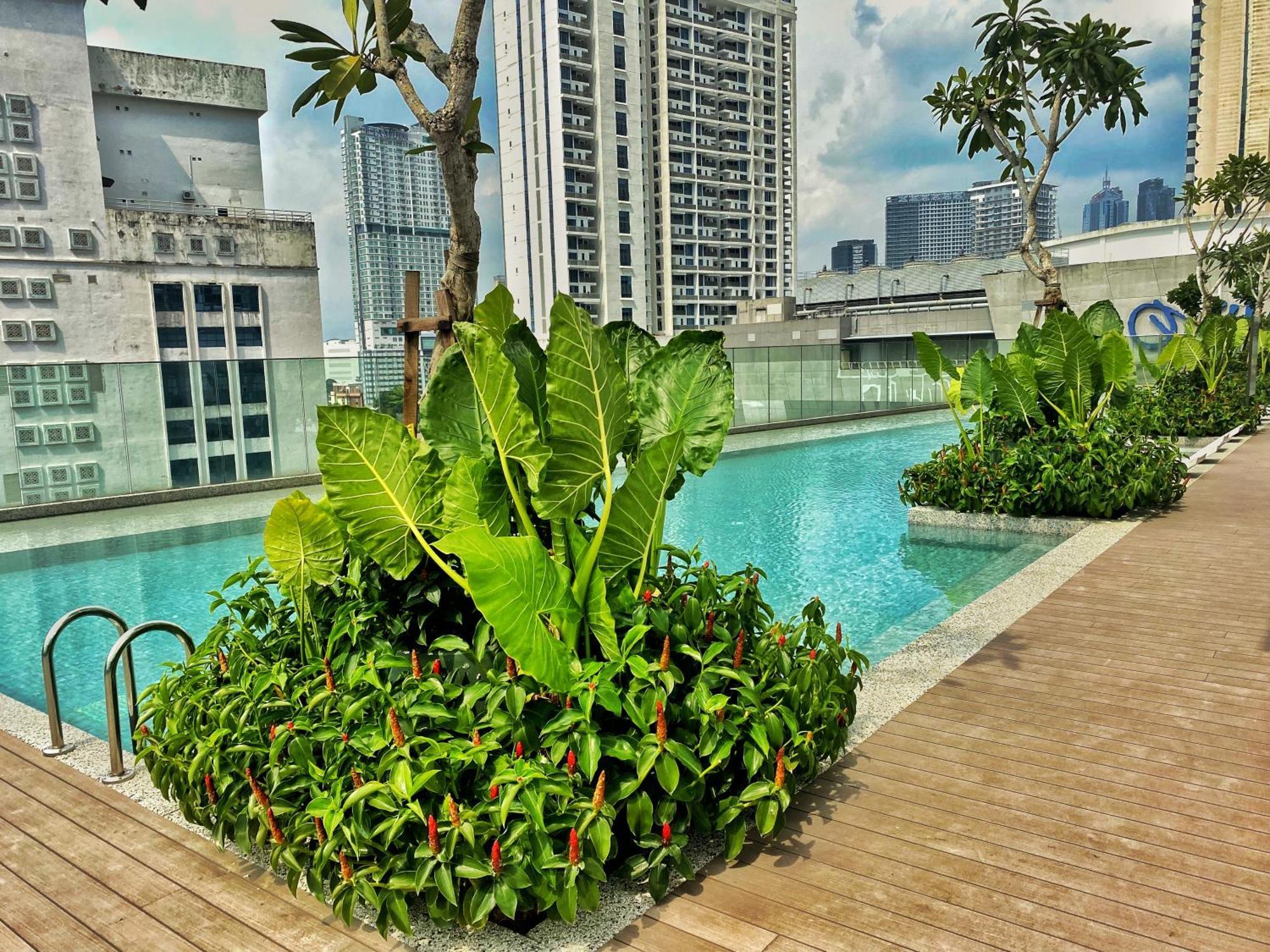 Lila Quill Klcc *